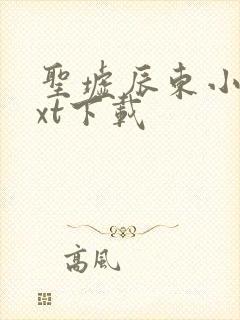 圣墟辰东小说txt下载