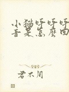 小猫呼呼呼的声音是怎么回事封面