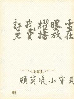 许我耀眼电视剧免费播放在线观看