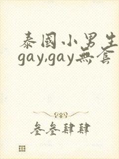 泰国小男生同性gay,gay无套