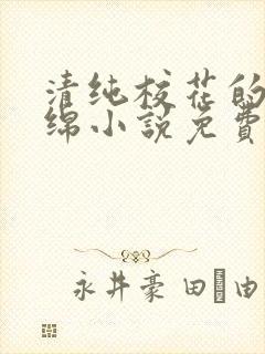 清纯校花的苏绵绵小说免费阅读