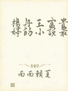 杨丹王富贵苏曼婷的小说最新章节更封面