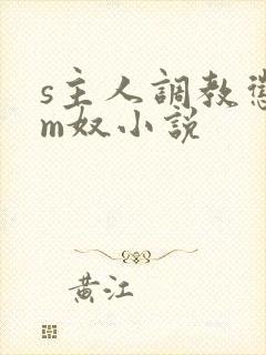 s主人调教惩罚m奴小说