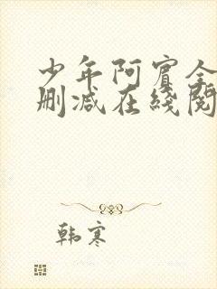 少年阿宾全文无删减在线阅读