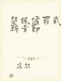 楚枫修罗武神全新章节