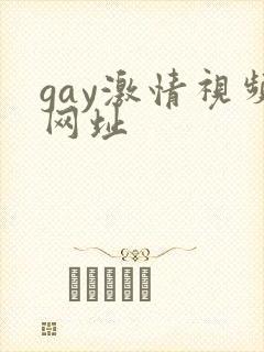gay激情视频网址