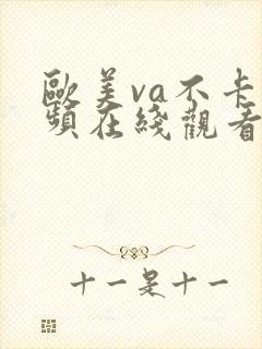 欧美va不卡视频在线观看