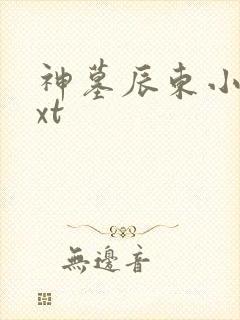 神墓辰东小说txt