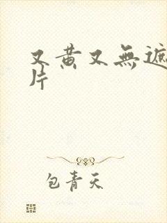 又黄又无遮挡毛片