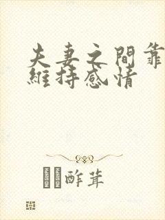 夫妻之间靠什么维持感情