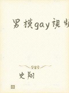 男模gay视频