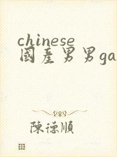 chinese国产男男gaygay网站