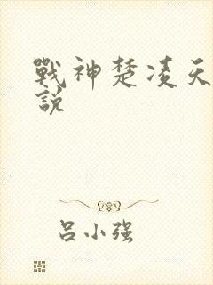 战神楚凌天的小说