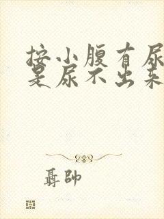 按小腹有尿意但是尿不出来封面