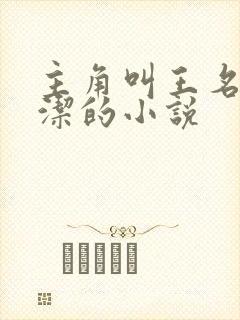 主角叫王名浩李洁的小说封面