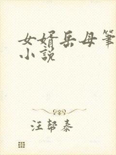 女婿岳母笔趣阁小说封面