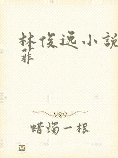 林俊逸小说刘亦菲封面