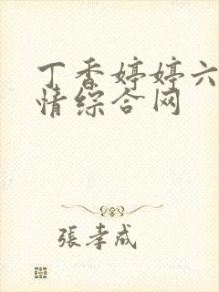 丁香婷婷六月激情综合网