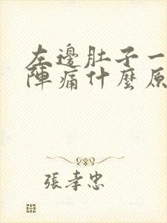 左边肚子一阵一阵痛什么原因