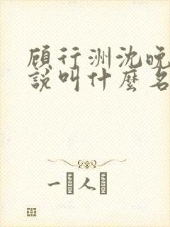 顾行洲沈晚宁小说叫什么名字