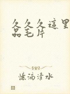 久久久这里有精品毛片