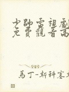 少帅电视剧全集免费观看高清