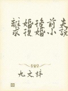 离婚后前夫哭着求复婚小说完整版大结局封面