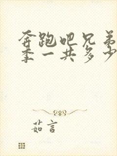 奔跑吧兄弟第一季一共多少期