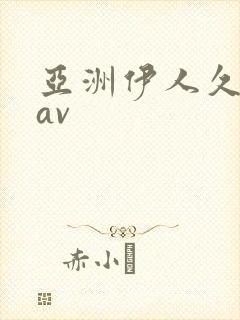 亚洲伊人久久久av封面