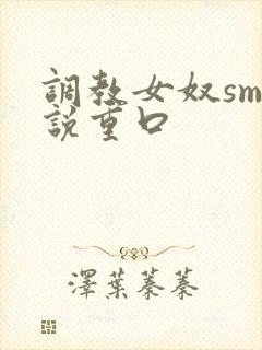 调教女奴sm小说重口封面