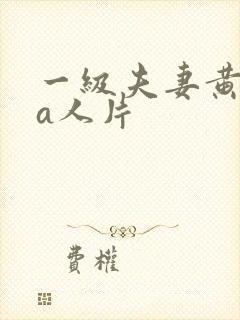 一级夫妻黄录像a人片