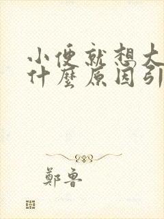 小便就想大便是什么原因引起的