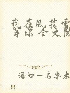 我在风花雪月里等你 全文阅读