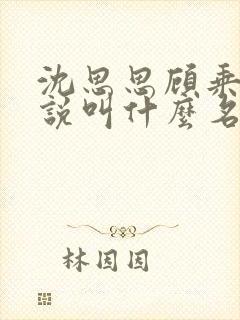 沈思思顾乘风小说叫什么名字封面