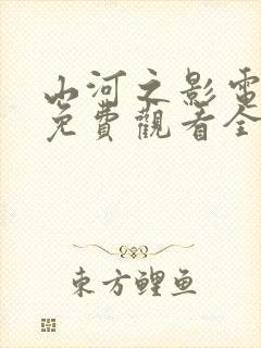 山河之影电视剧免费观看全集高清