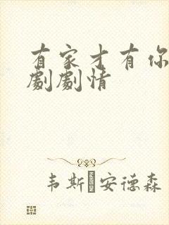 有家才有你电视剧剧情封面