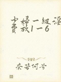 少妇一级淫片免费放1一6封面