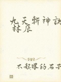 九天斩神诀林辰 林辰