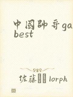 中国帅哥gay best