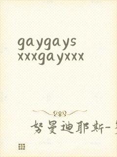 gaygaysxxxgayxxx封面