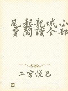 风起龙城小说免费阅读全部