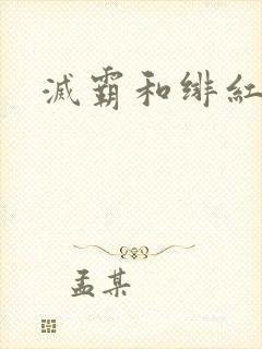 灭霸和绯红女巫封面