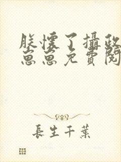 朕怀了摄政王的崽崽免费阅读全