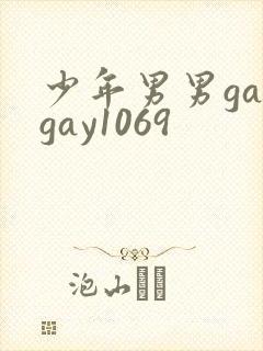 少年男男gaygay1069封面