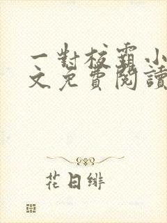 一对校霸小说全文免费阅读