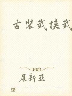 古装武侠武打片封面