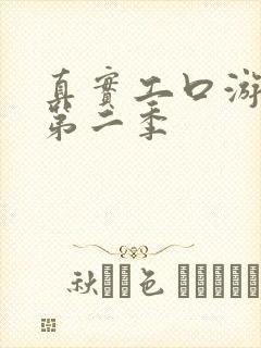 真实工口游戏二第二季