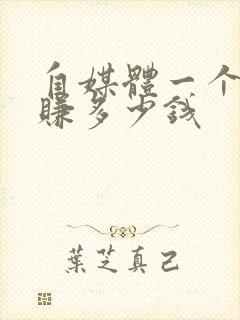 自媒体一个月能赚多少钱