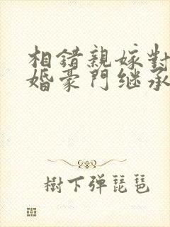 相错亲嫁对人闪婚豪门继承人