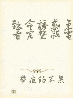 致命诱惑免费观看完整版电影高清